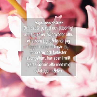 Picture 04 - Filipperbrevet 1:7 SV1917 - Och det är ju rätt och tillbörligt att jag - Bible Verse Picture