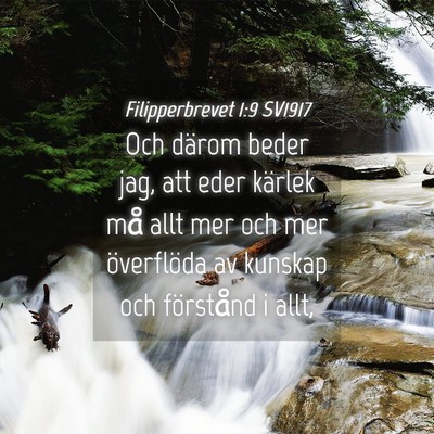 Picture 04 - Filipperbrevet 1:9 SV1917 - Och därom beder jag, att eder kärlek må allt - Bible Verse Picture