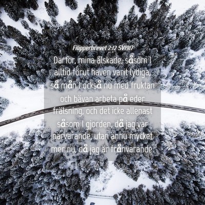 Picture 04 - Filipperbrevet 2:12 SV1917 - Därför, mina älskade, såsom I alltid förut - Bible Verse Picture