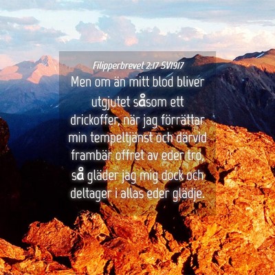 Picture 04 - Filipperbrevet 2:17 SV1917 - Men om än mitt blod bliver utgjutet såsom ett - Bible Verse Picture