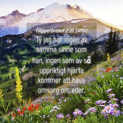 Picture 04 - Filipperbrevet 2:20 SV1917 - Ty jag har ingen av samma sinne som han, ingen - Bible Verse Picture