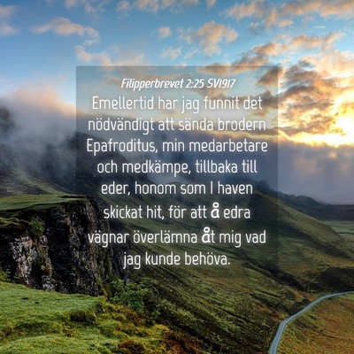Picture 04 - Filipperbrevet 2:25 SV1917 - Emellertid har jag funnit det nödvändigt att - Bible Verse Picture
