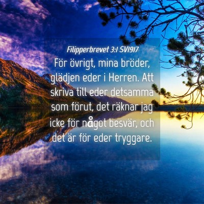 Picture 04 - Filipperbrevet 3:1 SV1917 - För övrigt, mina bröder, glädjen eder i - Bible Verse Picture
