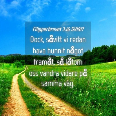 Picture 04 - Filipperbrevet 3:16 SV1917 - Dock, såvitt vi redan hava hunnit något - Bible Verse Picture