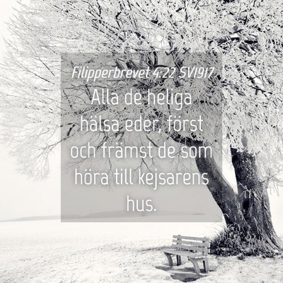 Picture 04 - Filipperbrevet 4:22 SV1917 - Alla de heliga hälsa eder, först och främst de - Bible Verse Picture
