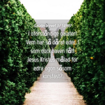 Picture 04 - Galaterbrevet 3:1 SV1917 - I oförståndige galater! Vem har så dårat - Bible Verse Picture