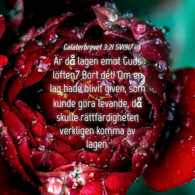 Picture 04 - Galaterbrevet 3:21 SV1917 - Är då lagen emot Guds löften? Bort det! Om en - Bible Verse Picture