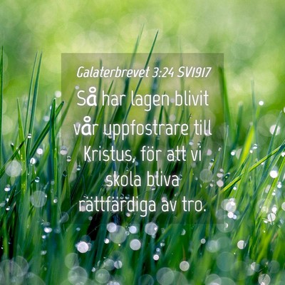 Picture 04 - Galaterbrevet 3:24 SV1917 - Så har lagen blivit vår uppfostrare till - Bible Verse Picture