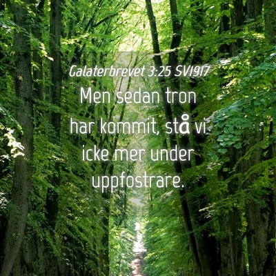 Picture 04 - Galaterbrevet 3:25 SV1917 - Men sedan tron har kommit, stå vi icke mer under - Bible Verse Picture