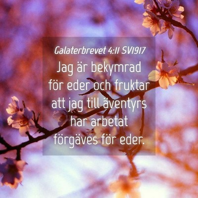 Picture 04 - Galaterbrevet 4:11 SV1917 - Jag är bekymrad för eder och fruktar att jag - Bible Verse Picture