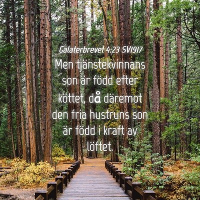 Picture 04 - Galaterbrevet 4:23 SV1917 - Men tjänstekvinnans son är född efter köttet, - Bible Verse Picture