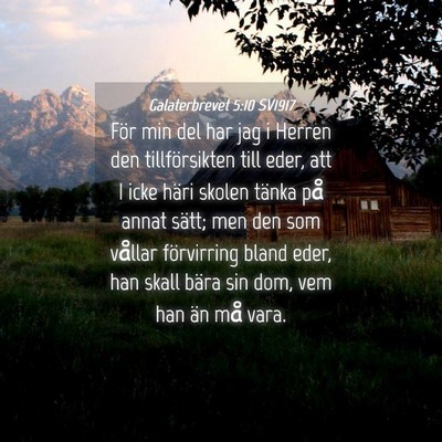 Picture 04 - Galaterbrevet 5:10 SV1917 - För min del har jag i Herren den tillförsikten - Bible Verse Picture