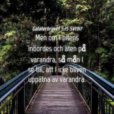 Picture 04 - Galaterbrevet 5:15 SV1917 - Men om I bitens inbördes och äten på varandra, - Bible Verse Picture