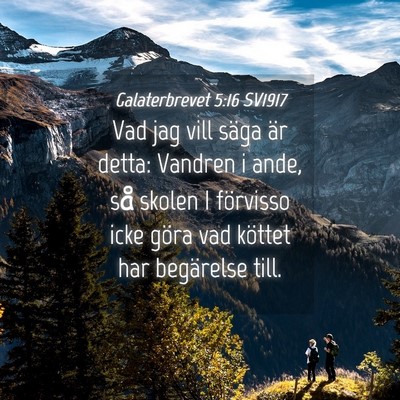 Picture 04 - Galaterbrevet 5:16 SV1917 - Vad jag vill säga är detta: Vandren i ande, så - Bible Verse Picture