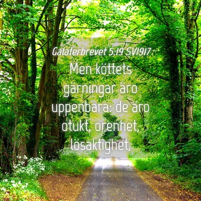 Picture 04 - Galaterbrevet 5:19 SV1917 - Men köttets gärningar äro uppenbara: de äro - Bible Verse Picture