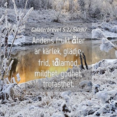 Picture 04 - Galaterbrevet 5:22 SV1917 - Andens frukt åter är kärlek, glädje, frid, - Bible Verse Picture