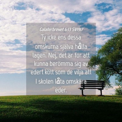 Picture 04 - Galaterbrevet 6:13 SV1917 - Ty icke ens dessa omskurna själva hålla lagen. - Bible Verse Picture