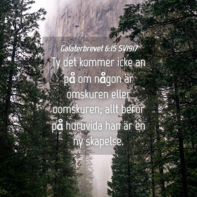 Picture 04 - Galaterbrevet 6:15 SV1917 - Ty det kommer icke an på om någon är omskuren - Bible Verse Picture