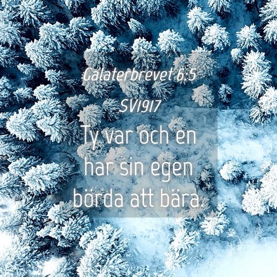 Picture 04 - Galaterbrevet 6:5 SV1917 - Ty var och en har sin egen börda att - Bible Verse Picture