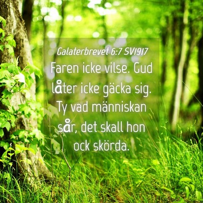 Picture 04 - Galaterbrevet 6:7 SV1917 - Faren icke vilse. Gud låter icke gäcka sig. Ty - Bible Verse Picture