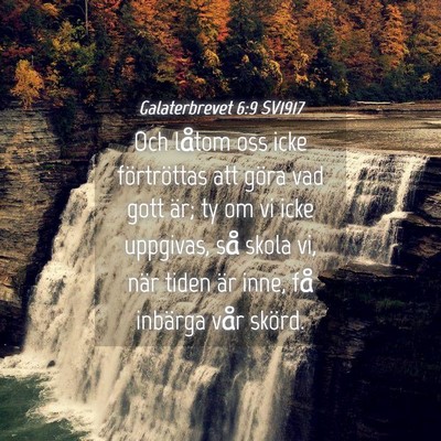 Picture 04 - Galaterbrevet 6:9 SV1917 - Och låtom oss icke förtröttas att göra vad - Bible Verse Picture