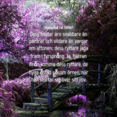 Picture 04 - Habackuk 1:8 SV1917 - Dess hästar äro snabbare än pantrar och - Bible Verse Picture