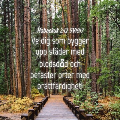 Picture 04 - Habackuk 2:12 SV1917 - Ve dig som bygger upp städer med blodsdåd och - Bible Verse Picture
