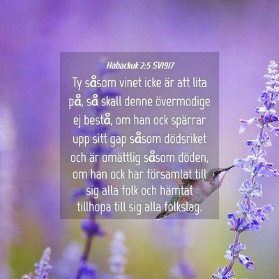 Picture 04 - Habackuk 2:5 SV1917 - Ty såsom vinet icke är att lita på, så skall - Bible Verse Picture