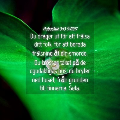 Picture 04 - Habackuk 3:13 SV1917 - Du drager ut för att frälsa ditt folk, för att - Bible Verse Picture