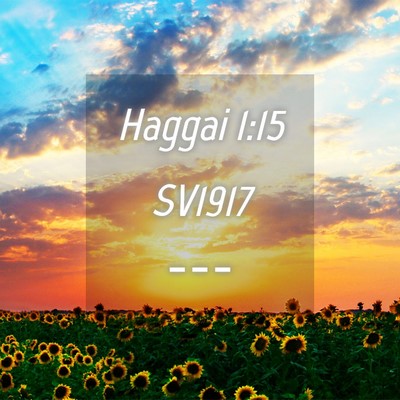 Picture 04 - Haggai 1:15 SV1917 -  - Bible Verse Picture