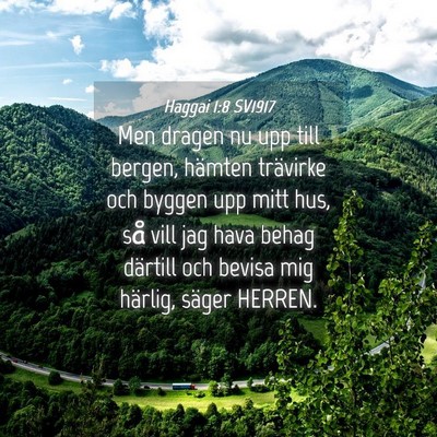 Picture 04 - Haggai 1:8 SV1917 - Men dragen nu upp till bergen, hämten trävirke - Bible Verse Picture