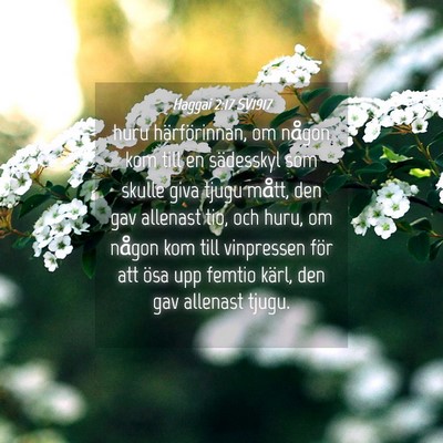 Picture 04 - Haggai 2:17 SV1917 - huru härförinnan, om någon kom till en - Bible Verse Picture