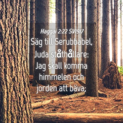 Picture 04 - Haggai 2:22 SV1917 - Säg till Serubbabel, Juda ståthållare: Jag - Bible Verse Picture