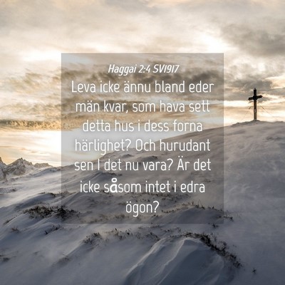 Picture 04 - Haggai 2:4 SV1917 - Leva icke ännu bland eder män kvar, som hava - Bible Verse Picture
