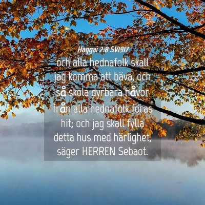 Picture 04 - Haggai 2:8 SV1917 - och alla hednafolk skall jag komma att bäva, och - Bible Verse Picture