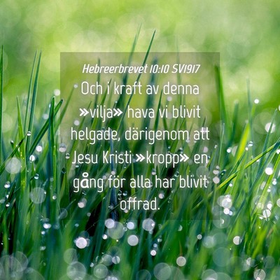 Picture 04 - Hebreerbrevet 10:10 SV1917 - Och i kraft av denna »vilja» hava vi blivit - Bible Verse Picture