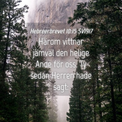Picture 04 - Hebreerbrevet 10:15 SV1917 - Härom vittnar jämväl den helige Ande för oss. - Bible Verse Picture