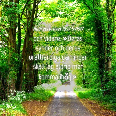 Picture 04 - Hebreerbrevet 10:17 SV1917 - och vidare: »Deras synder och deras - Bible Verse Picture
