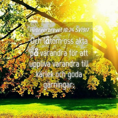 Picture 04 - Hebreerbrevet 10:24 SV1917 - Och låtom oss akta på varandra för att uppliva - Bible Verse Picture