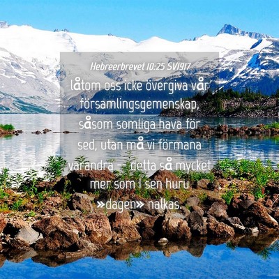 Picture 04 - Hebreerbrevet 10:25 SV1917 - låtom oss icke övergiva vår - Bible Verse Picture