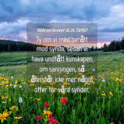 Picture 04 - Hebreerbrevet 10:26 SV1917 - Ty om vi med berått mod synda, sedan vi hava - Bible Verse Picture
