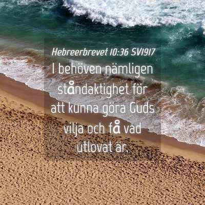 Picture 04 - Hebreerbrevet 10:36 SV1917 - I behöven nämligen ståndaktighet för att - Bible Verse Picture