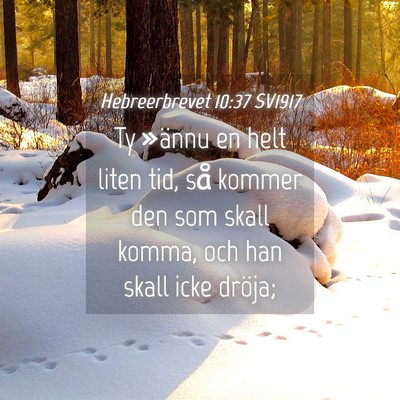 Picture 04 - Hebreerbrevet 10:37 SV1917 - Ty »ännu en helt liten tid, så kommer den som - Bible Verse Picture
