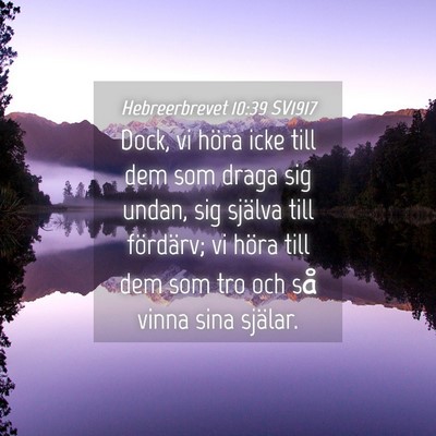 Picture 04 - Hebreerbrevet 10:39 SV1917 - Dock, vi höra icke till dem som draga sig undan, - Bible Verse Picture
