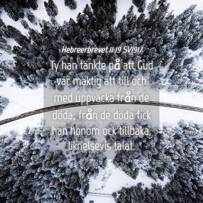 Picture 04 - Hebreerbrevet 11:19 SV1917 - Ty han tänkte på att Gud var mäktig att till - Bible Verse Picture