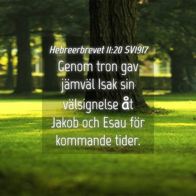 Picture 04 - Hebreerbrevet 11:20 SV1917 - Genom tron gav jämväl Isak sin välsignelse åt - Bible Verse Picture