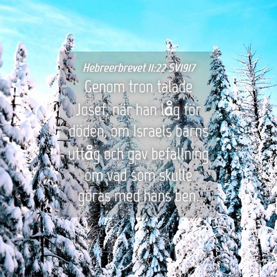 Picture 04 - Hebreerbrevet 11:22 SV1917 - Genom tron talade Josef, när han låg för - Bible Verse Picture