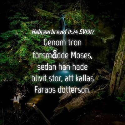 Picture 04 - Hebreerbrevet 11:24 SV1917 - Genom tron försmådde Moses, sedan han hade - Bible Verse Picture