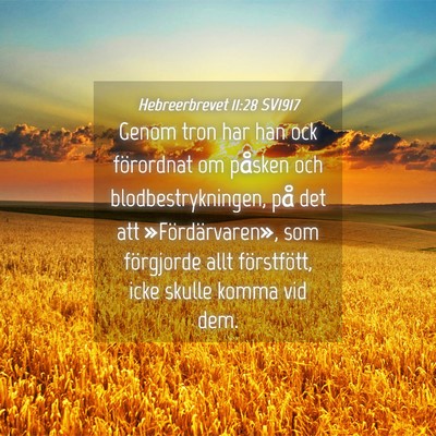 Picture 04 - Hebreerbrevet 11:28 SV1917 - Genom tron har han ock förordnat om påsken och - Bible Verse Picture