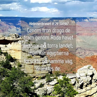 Picture 04 - Hebreerbrevet 11:29 SV1917 - Genom tron drogo de fram genom Röda havet - Bible Verse Picture